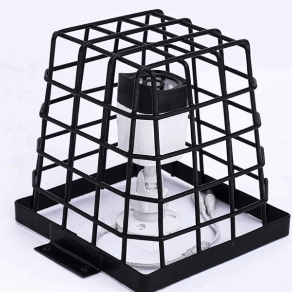 CCTV Cage Protection for Camera Jali
